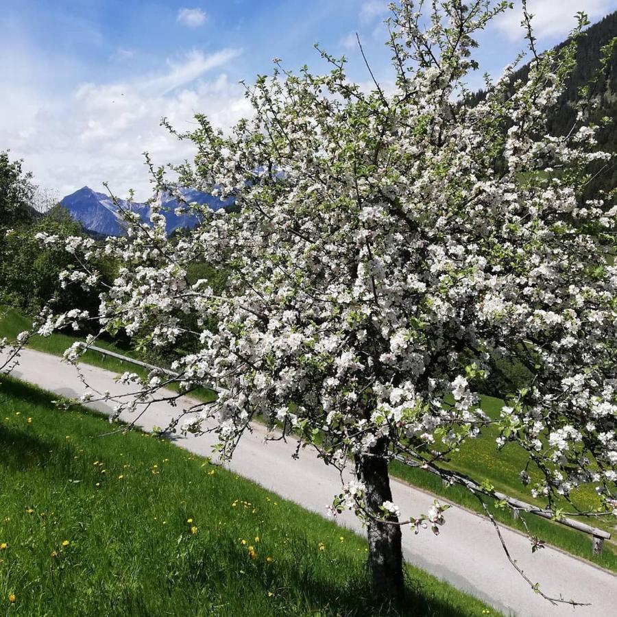 Appartements Kolberhof Alpbach Buitenkant foto