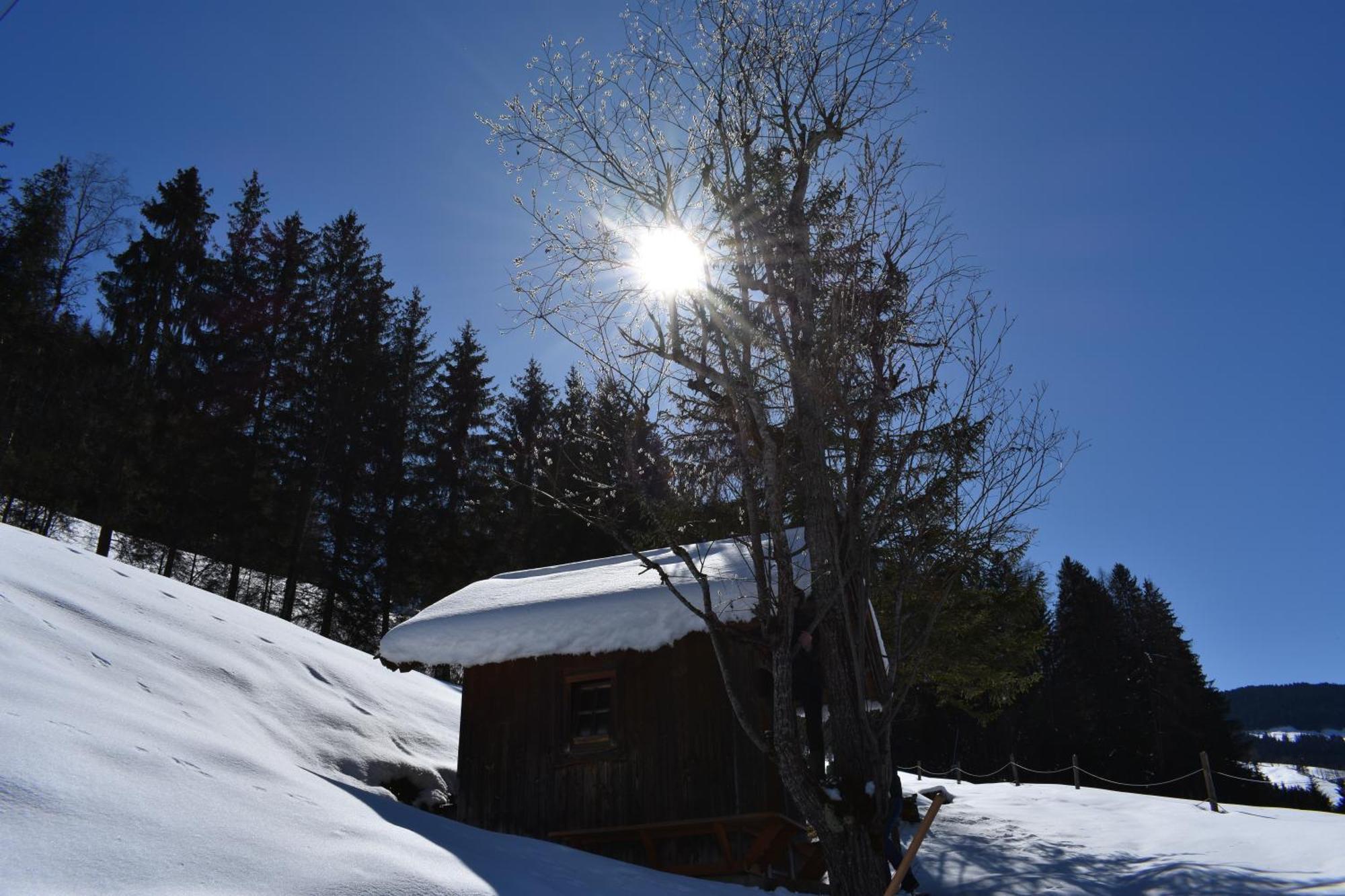 Appartements Kolberhof Alpbach Buitenkant foto