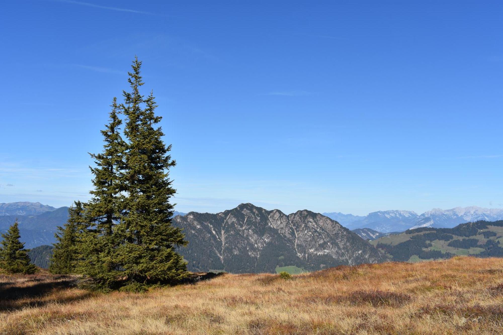 Appartements Kolberhof Alpbach Buitenkant foto