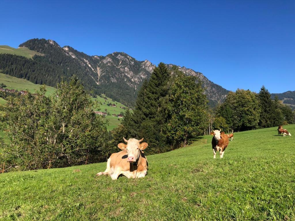 Appartements Kolberhof Alpbach Buitenkant foto