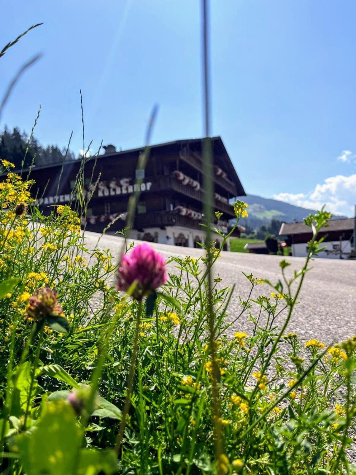 Appartements Kolberhof Alpbach Buitenkant foto