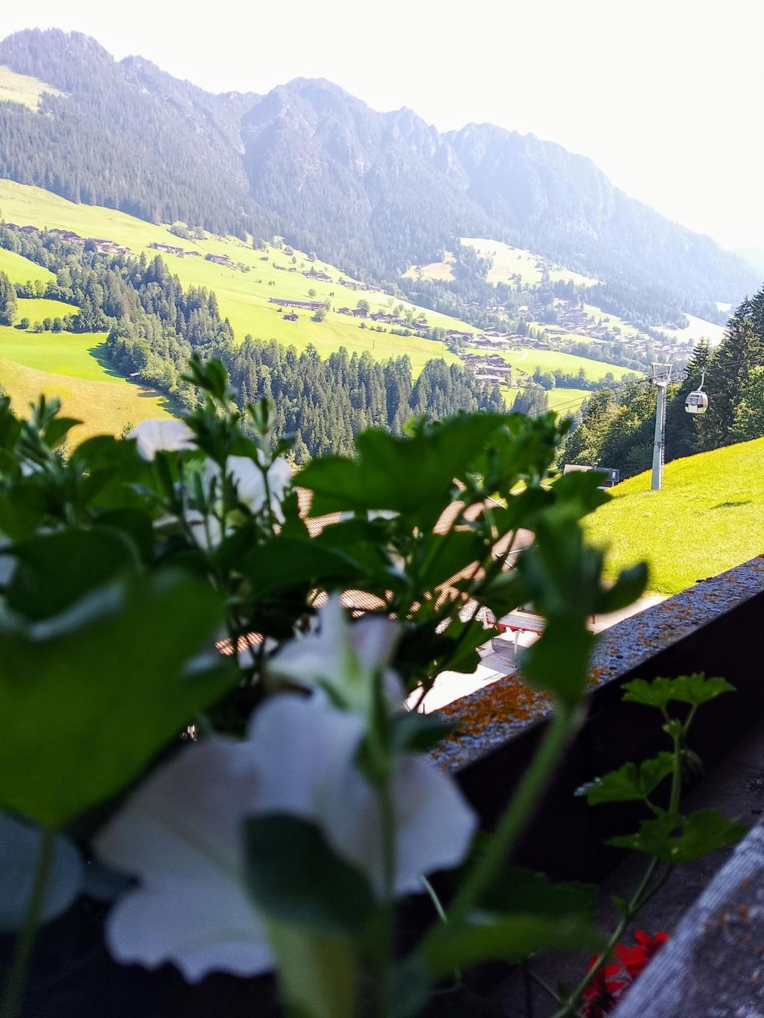 Appartements Kolberhof Alpbach Kamer foto